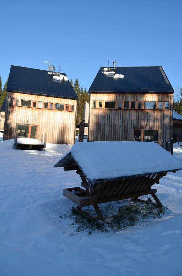 Chalet Harrachov Exterior foto